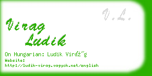 virag ludik business card